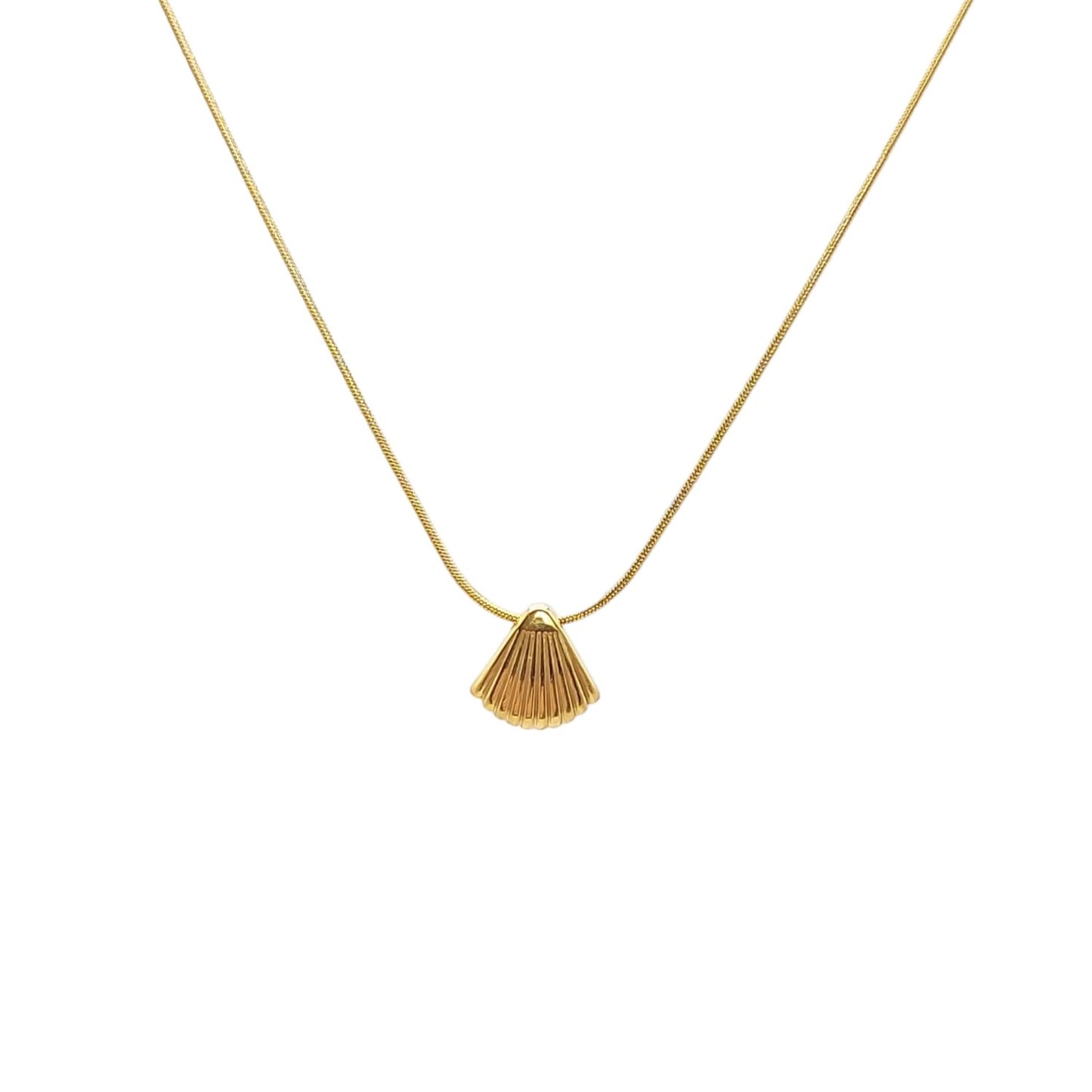 Shell Pendant Necklace
