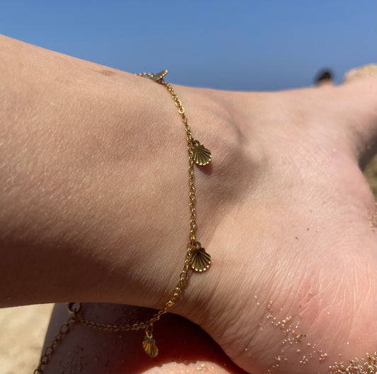 Shell Anklet